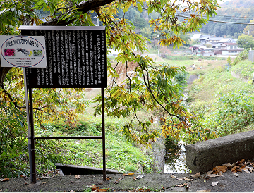 竹田のゲンジボタル及びその発生地