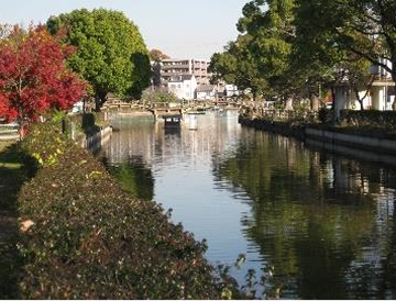 どんどん池