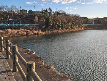 春日池
